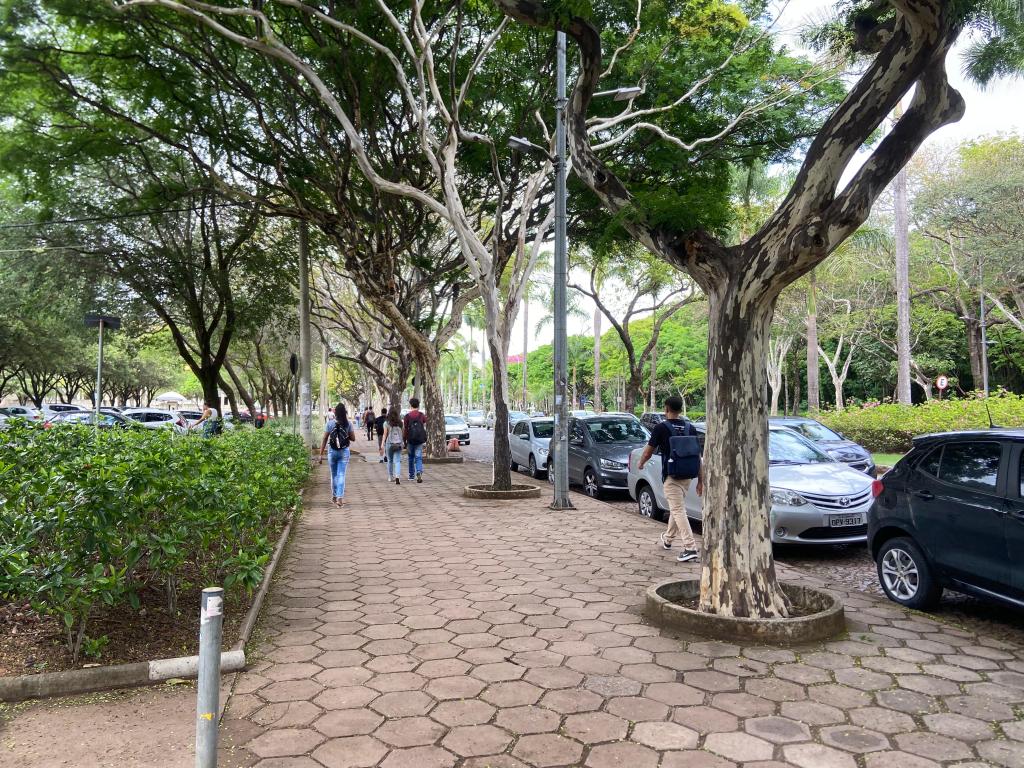 Foto do Campus Pampulha da UFMG. Nela há alguns estudantes caminhando, eles aparecem de costas. Também há vários carros estacionados e muitas árvores.